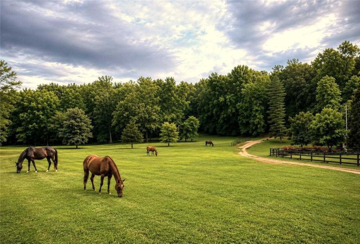 Country Estate, Minutes from Downtown - photo 2