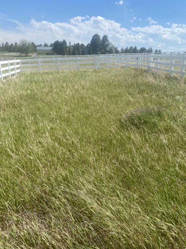 Custom 13.53 Acre Horse Property - photo 10
