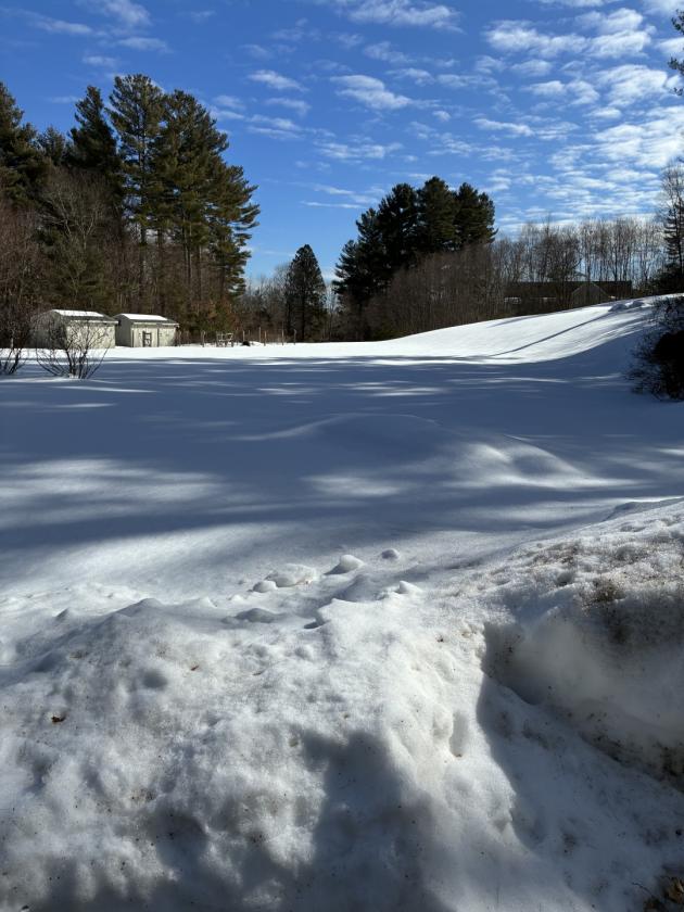 Equestrian property set on 32 acres in Holliston - photo 8