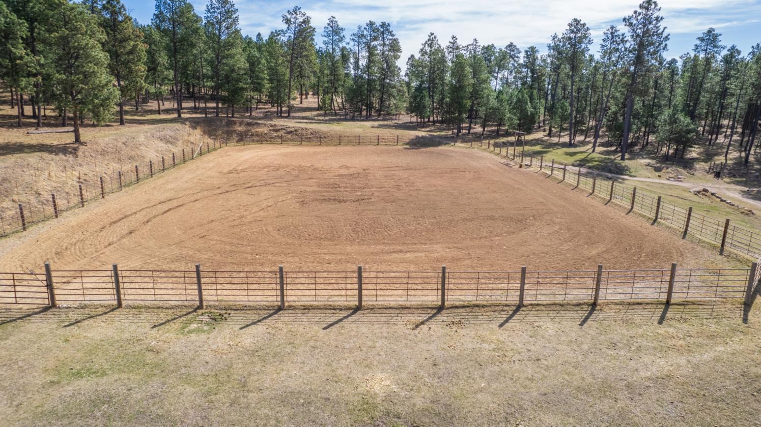 CALLING ALL HORSE LOVERS! - photo 28
