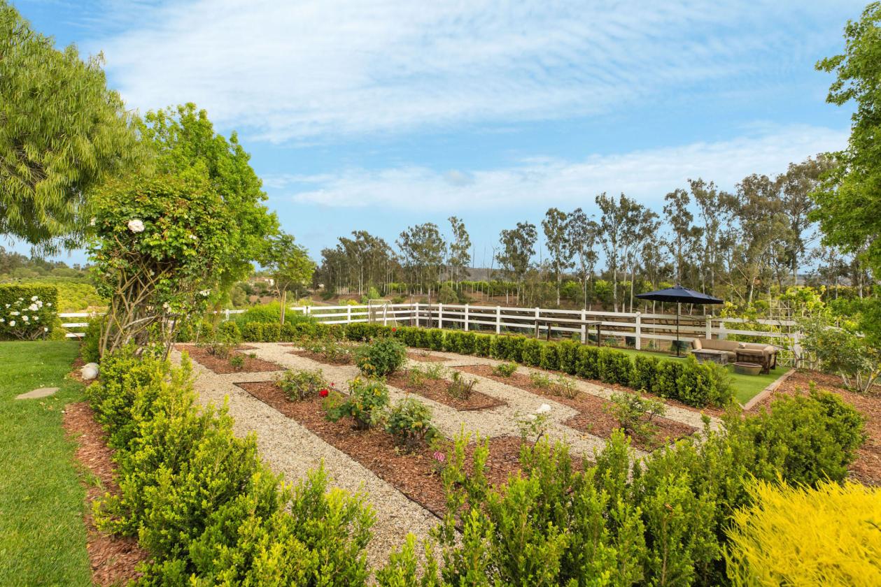 Lemon Ridge Ranch on 47 Acres - photo 5