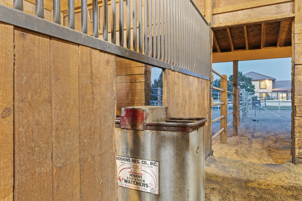 The Hacienda - A Family Horse Centric DREAM - photo 8