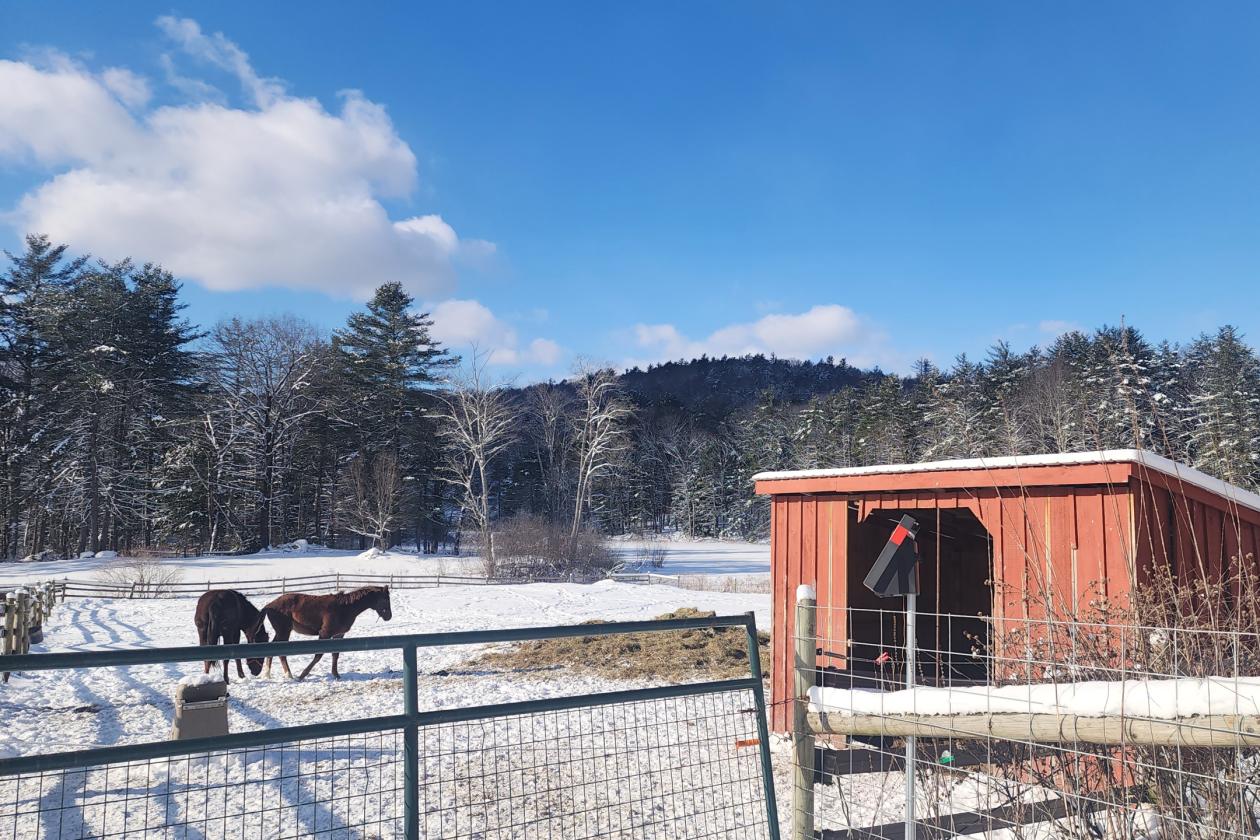 Shooting Star Farm - photo 17