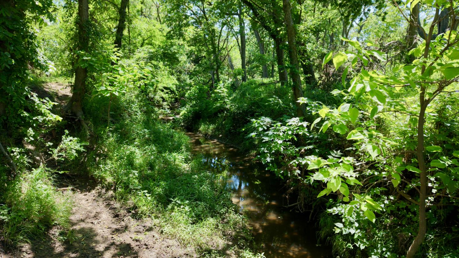 16.1± acre Flint Hills Horse Property - photo 8