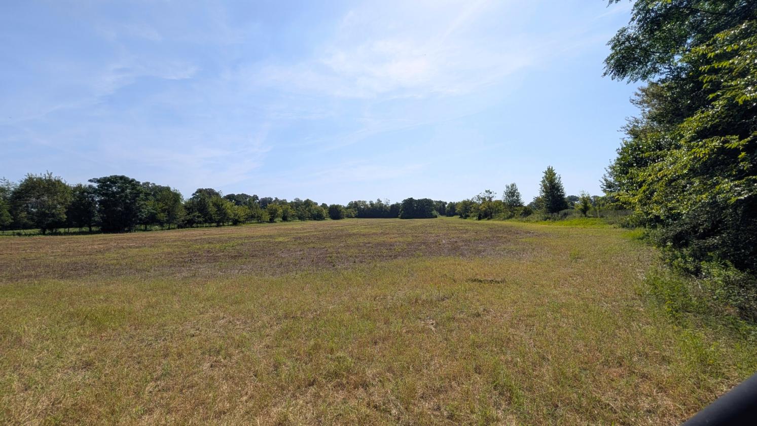 Prime 76 acre farm in Jackson County - photo 2