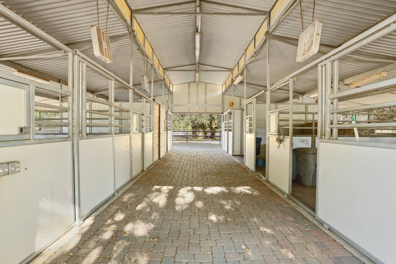 Estate with 7 pastures, 2 homes, lake, Vineyard - photo 12
