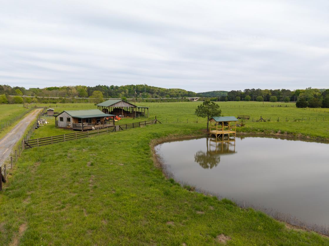 54 Acre Farm with 2 Houses - photo 2
