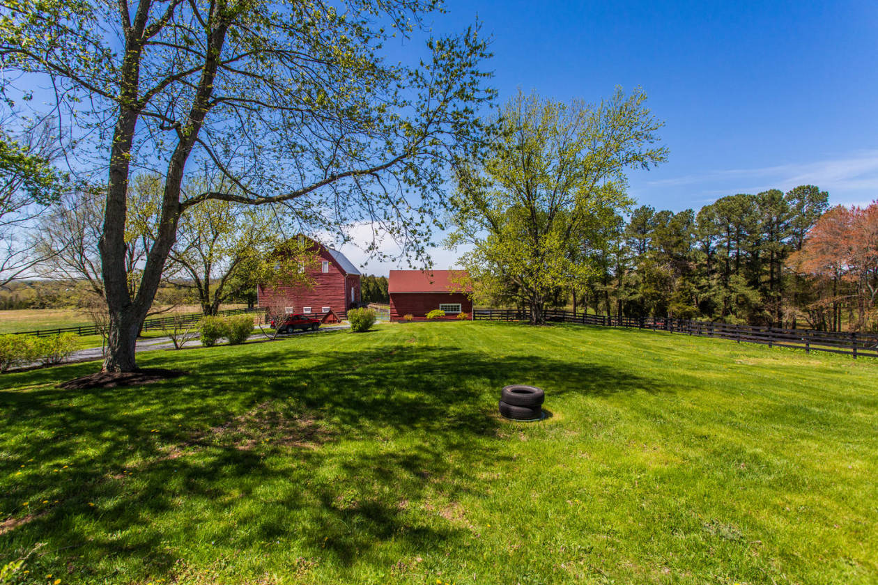Horse Farm Ahoskie, Hertford County, North Carolina