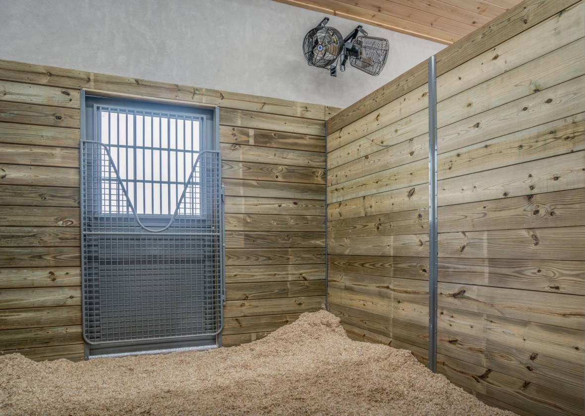 Professional equestrian facility minutes to Tryon International