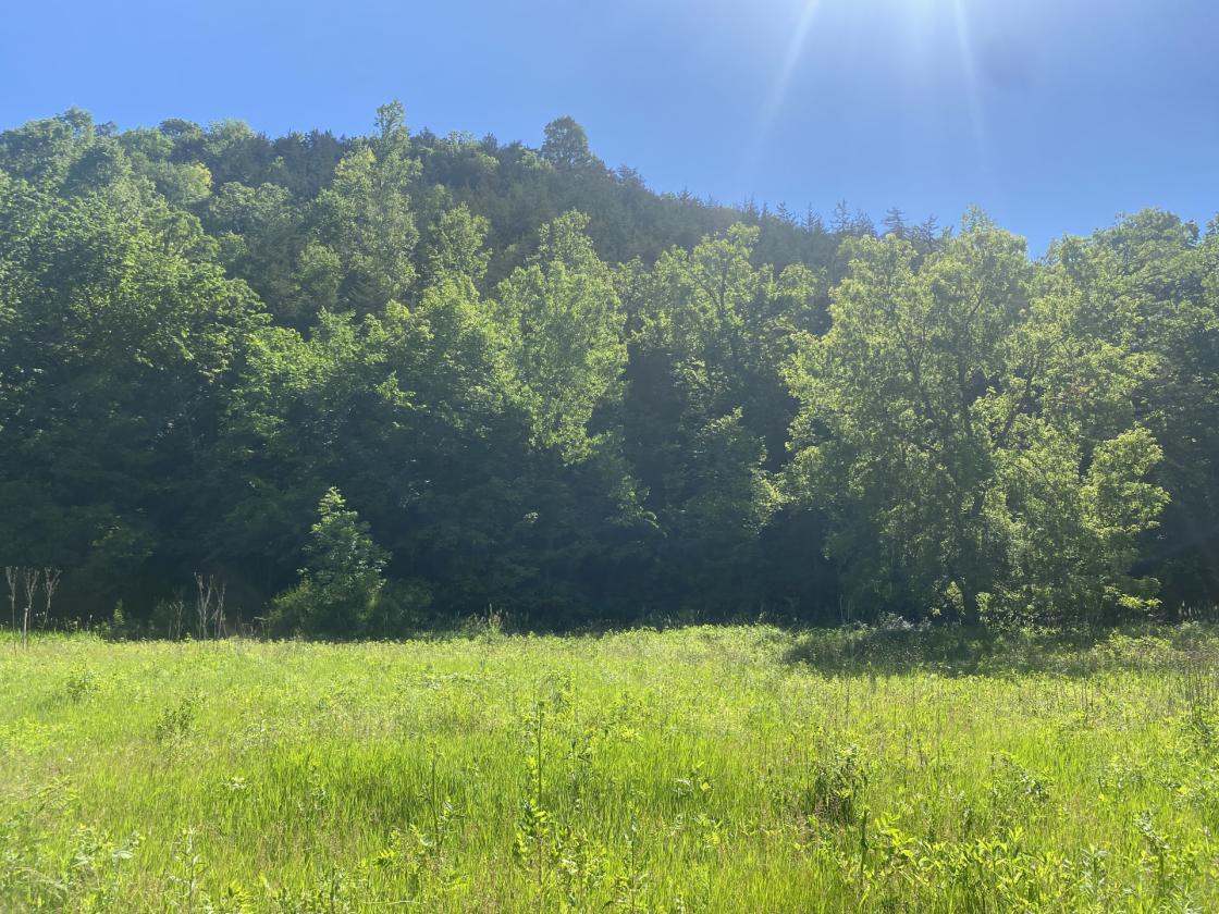 Deep River Farm - photo 20
