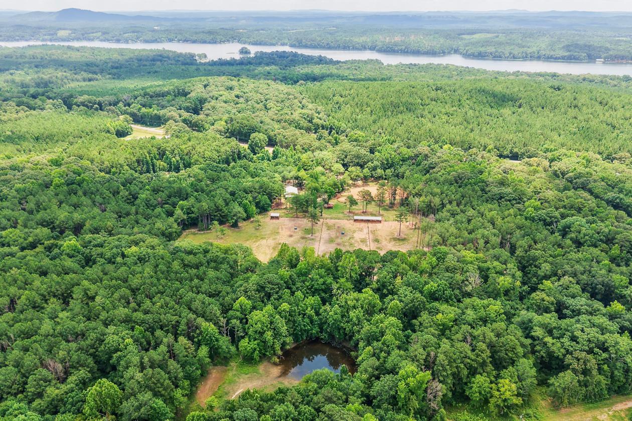 89.99 acre horse farm with lighted arena & more - photo 4