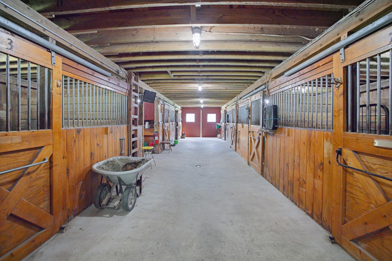 13.5-Acre Equestrian Farm with 12-Stall Barn - photo 22