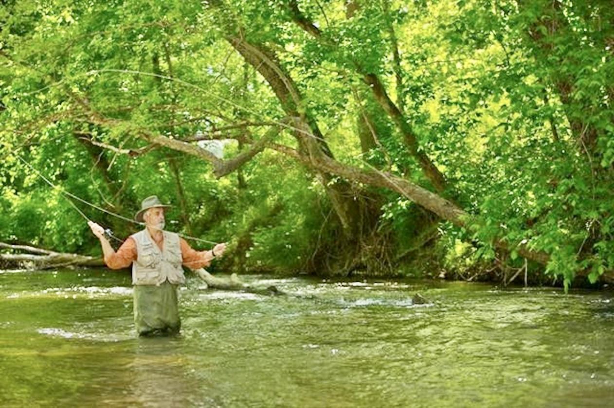 2.47 acres for your Mini-Farm Dream at The Coves - photo 23