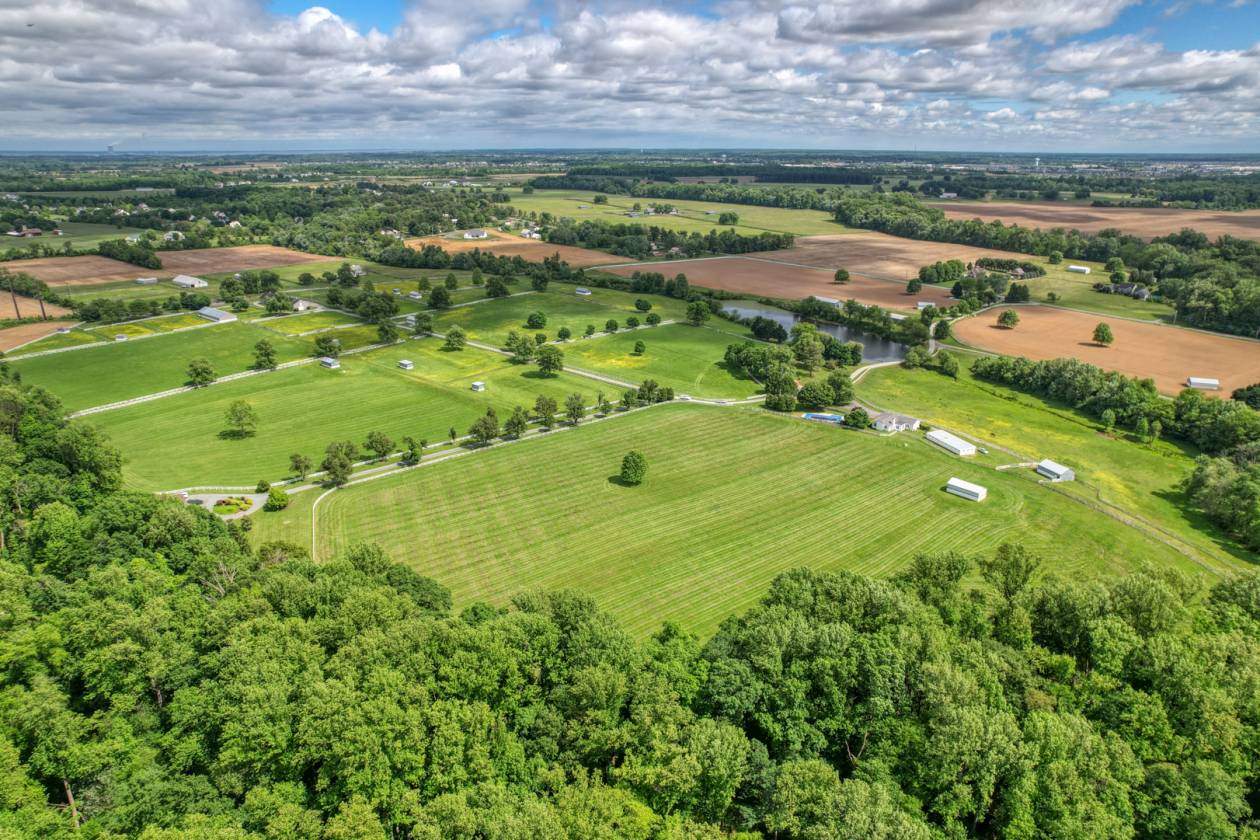 CandyLand Farm: Where Dreams Gallop Free! - photo 5