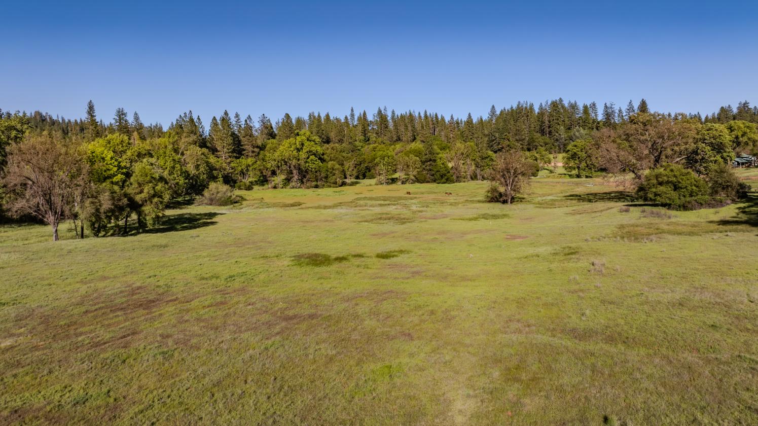 40 Acres - Fully ADA/Wheelchair Accessible - photo 15