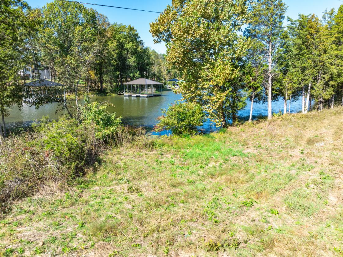 Ultra Luxury Lakefront Property - Nashville Area - photo 18