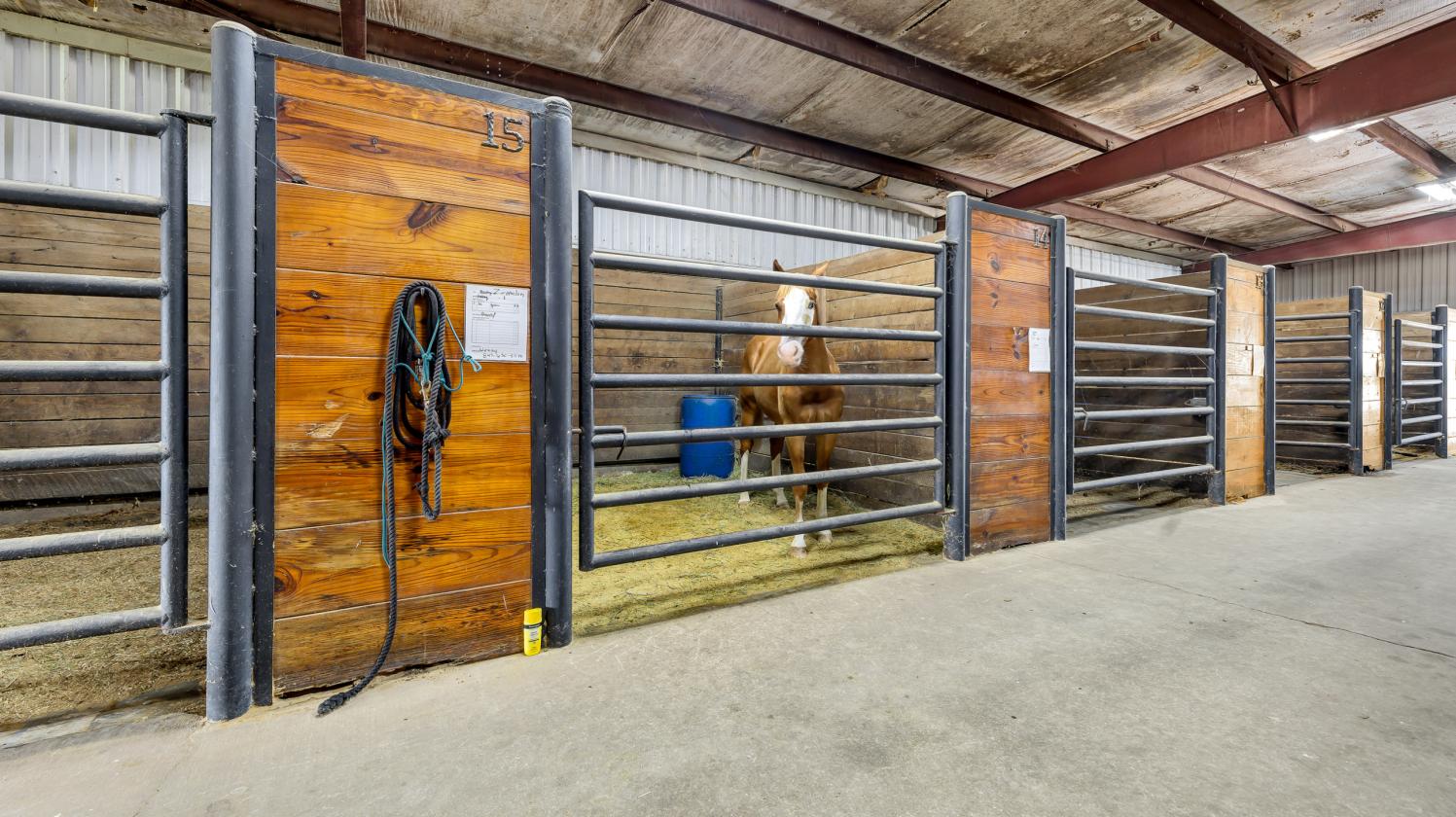 The Ultimate Equestrian Business Opportunity - photo 5