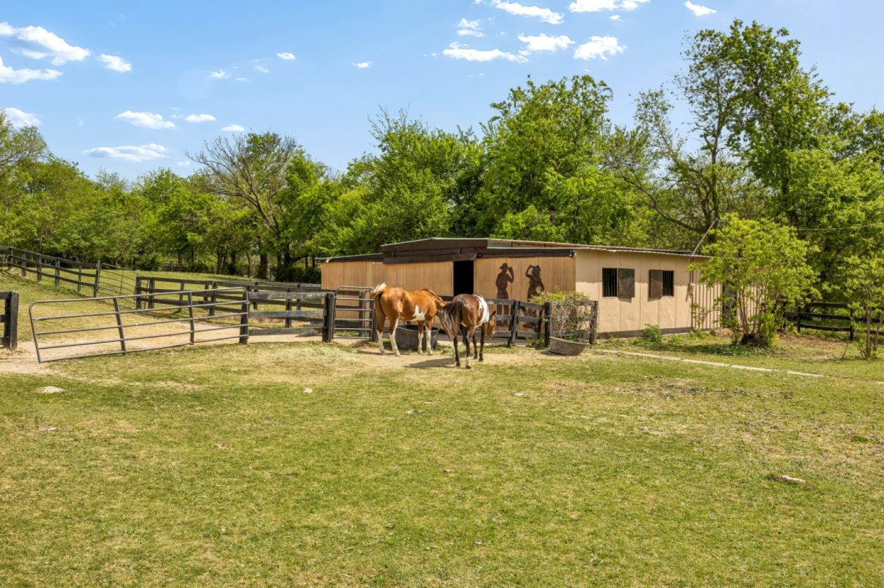 In-Town Luxury Resort Inspired Equestrian Retreat - photo 2