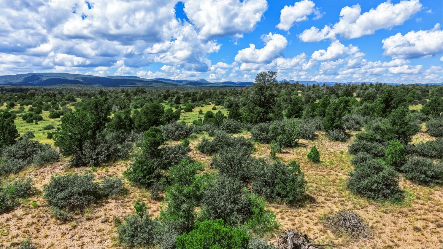 200 Acres in Yavapai County - photo 3