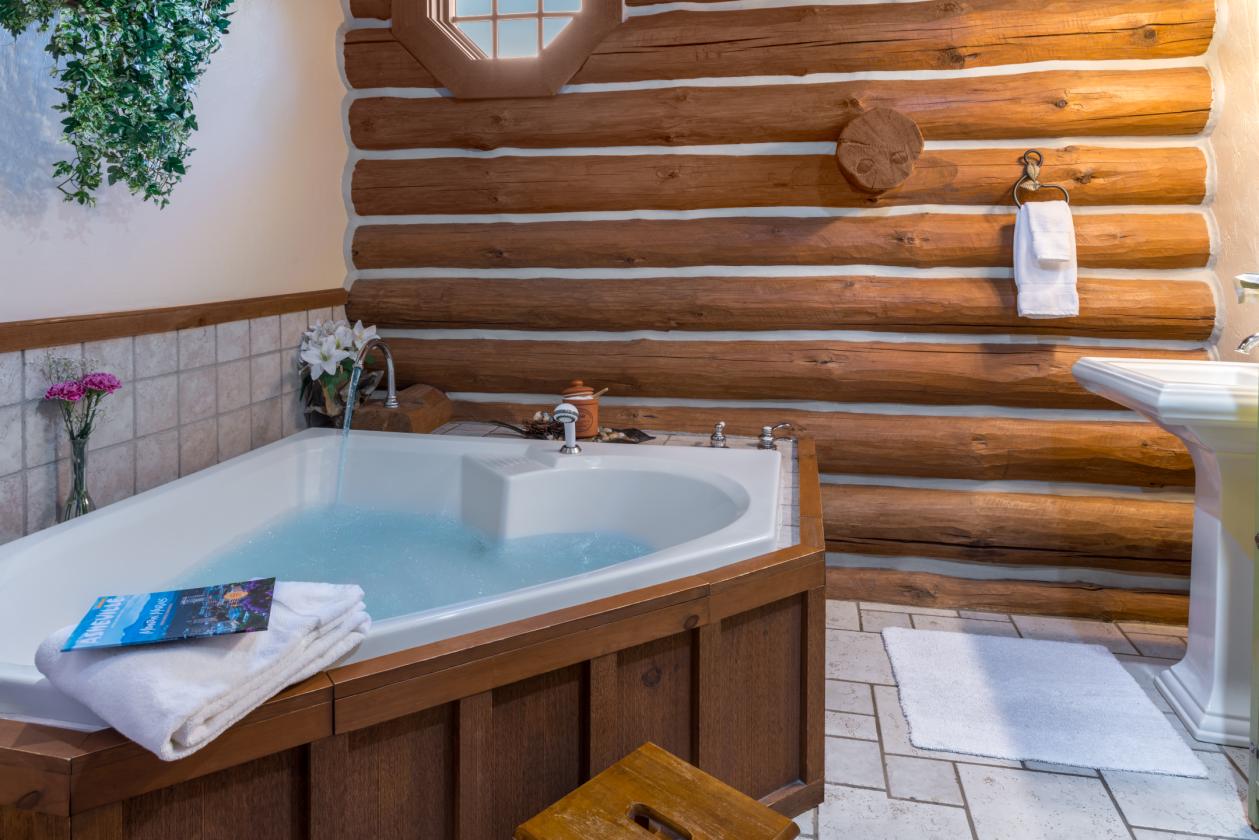 Mountain Equestrian Retreat and B& B Opportunity - photo 20