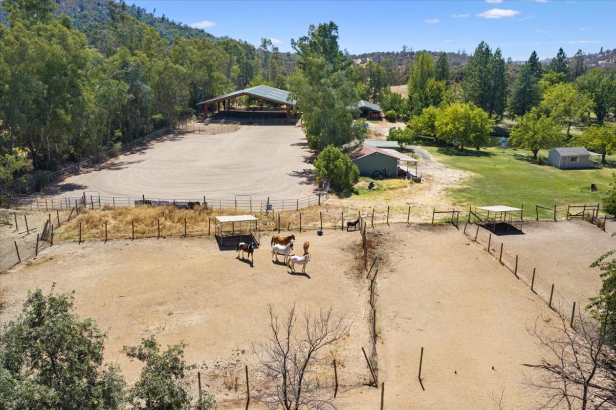 Professional Rodeo setup and Gorgeous House - photo 8