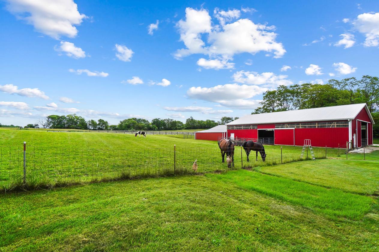 Heated Indoor Arena, Dedicated Hay Pasture & More! - photo 16