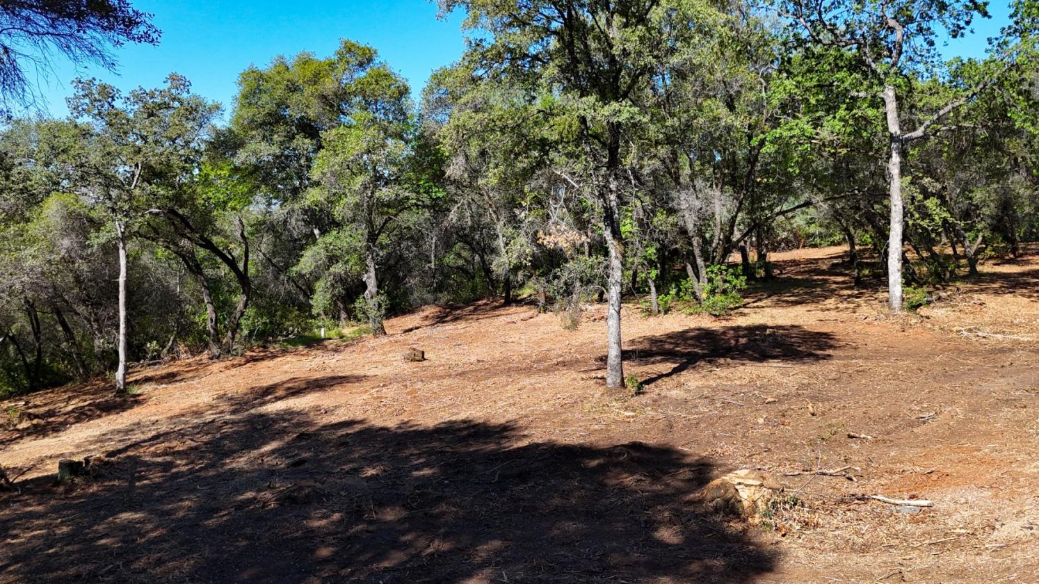 Your 5 Acre Sanctuary in Equestrian Community - photo 10