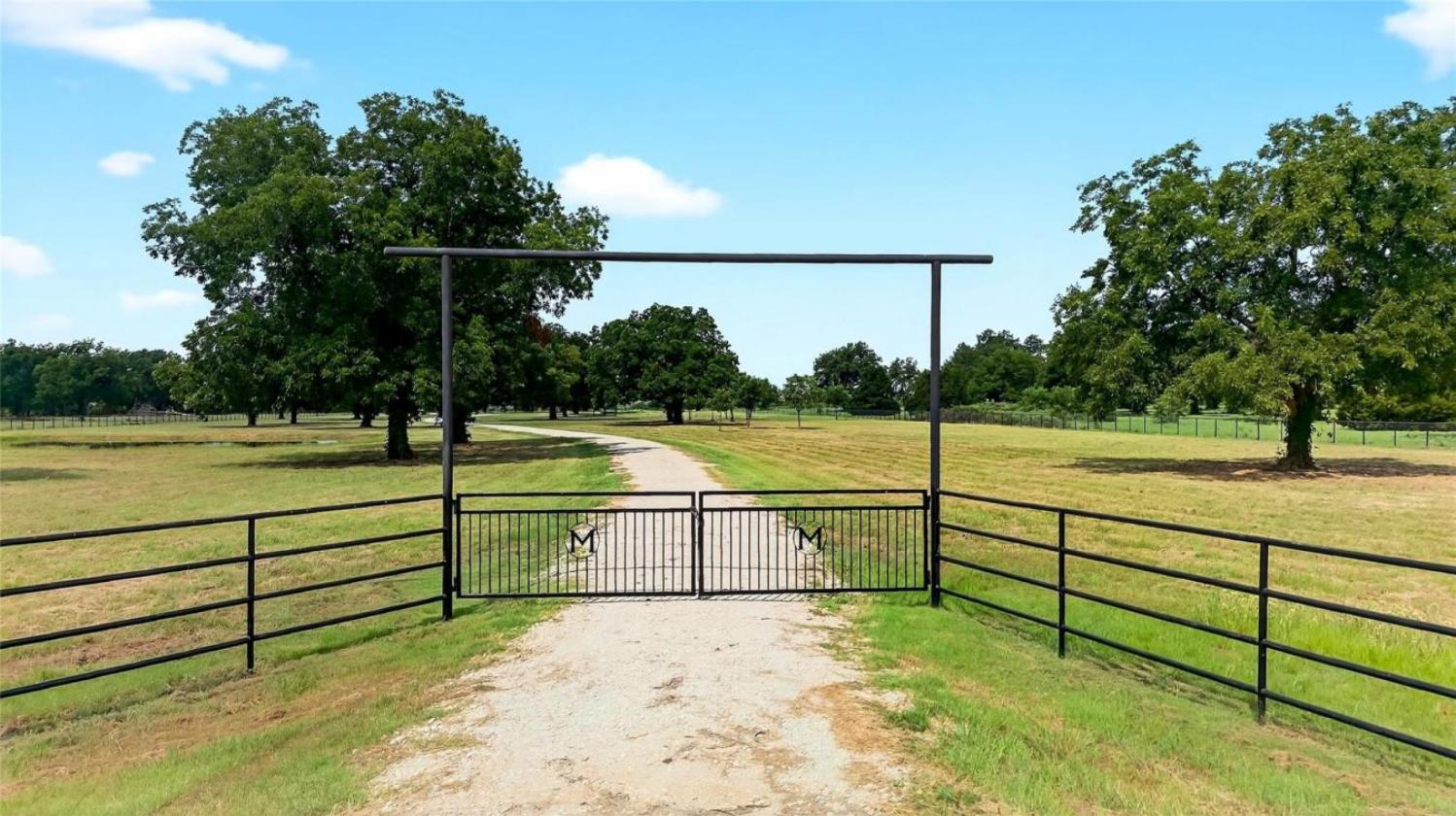 11 Acres of Pecan Trees - photo 1