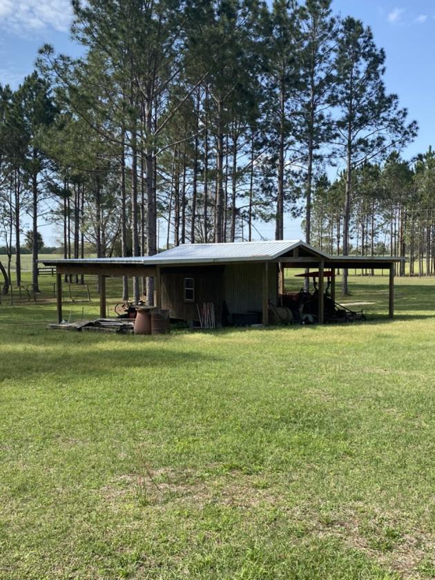 20 ACRE BEAUTIFULLY WOODED HOMESTEAD - photo 15