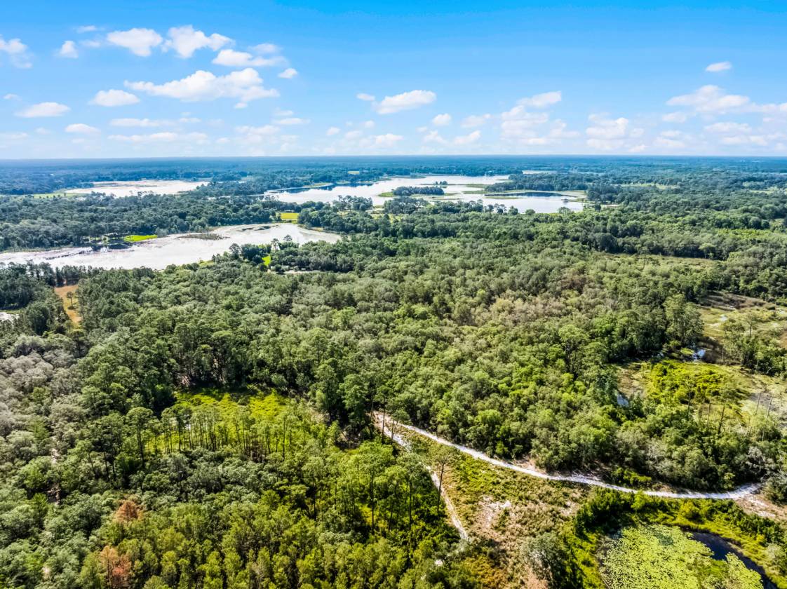 Private & Rare Wild Old Florida 36 Acre Gem - photo 15