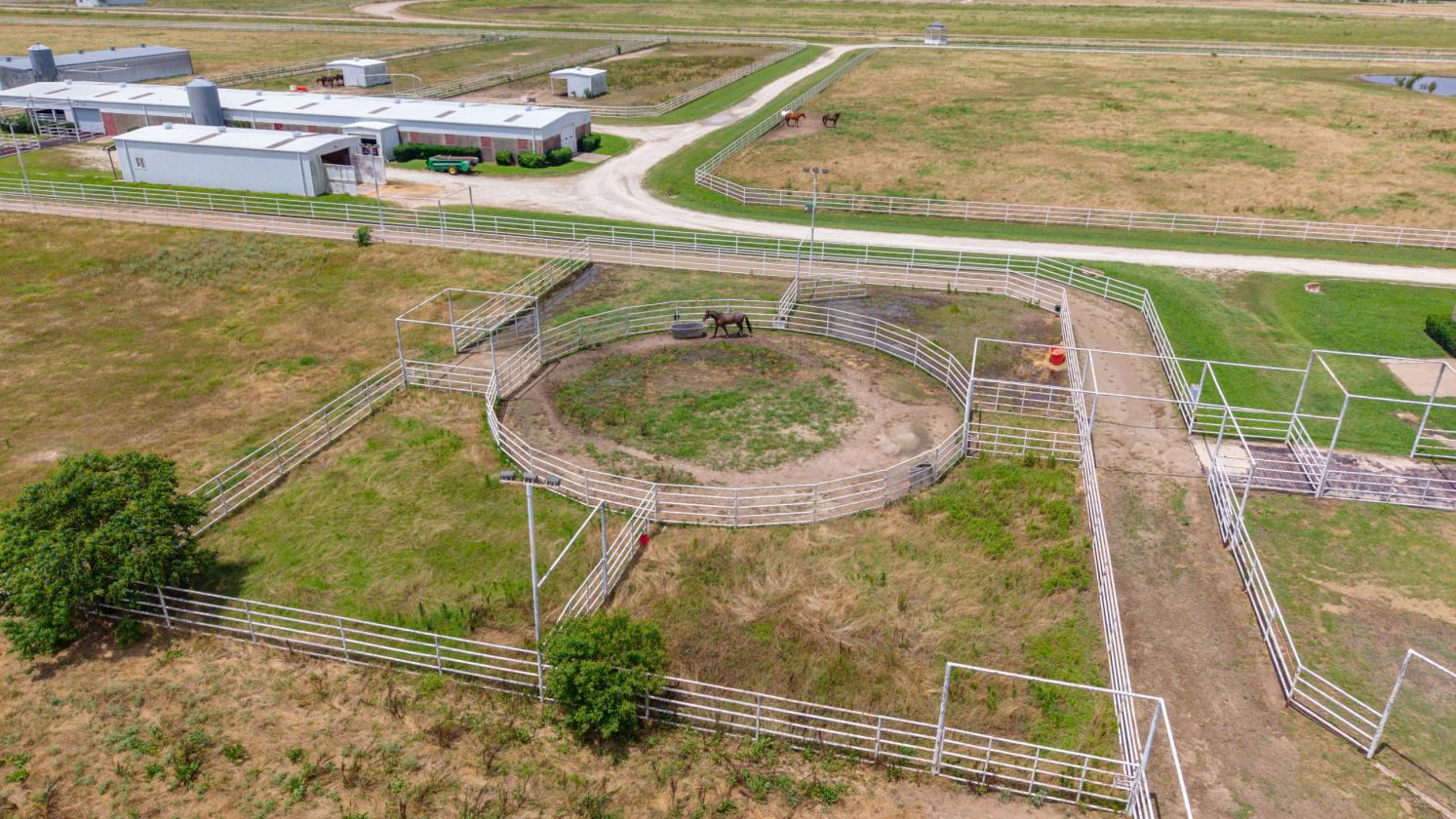 DIAMOND D RANCH EQUESTRIAN ESTATE - photo 24
