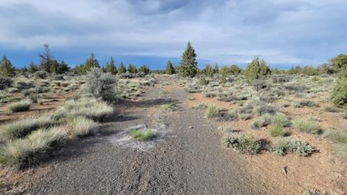 Property image.