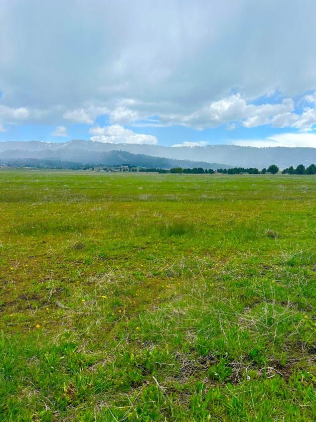 Property with a view - photo 4