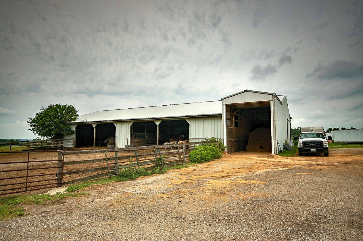 New Price! Tower Hill Stables--141 acre, 131 stall Horse ...