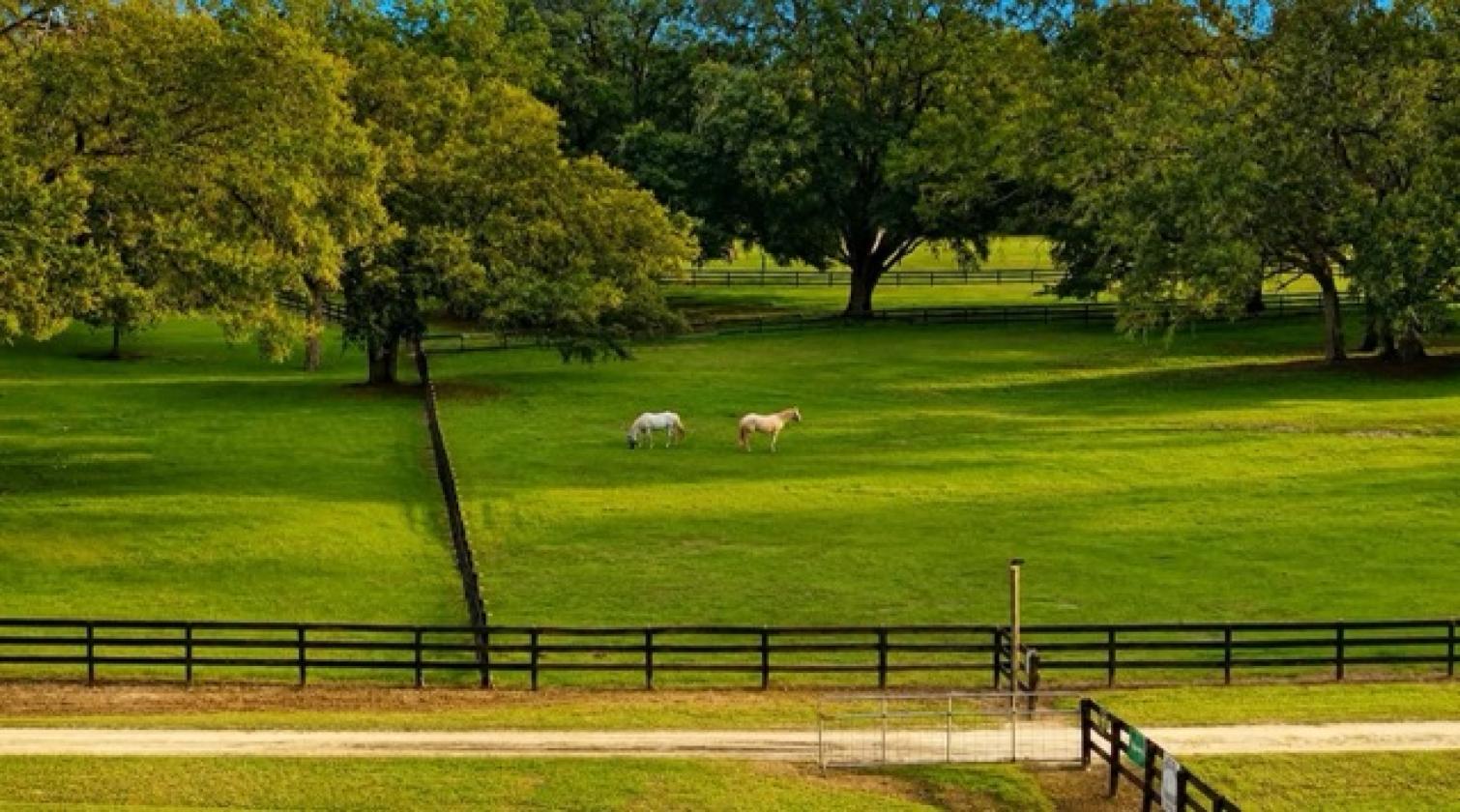Owner Financing on HUGE Opportunity 37 ACRES - photo 9