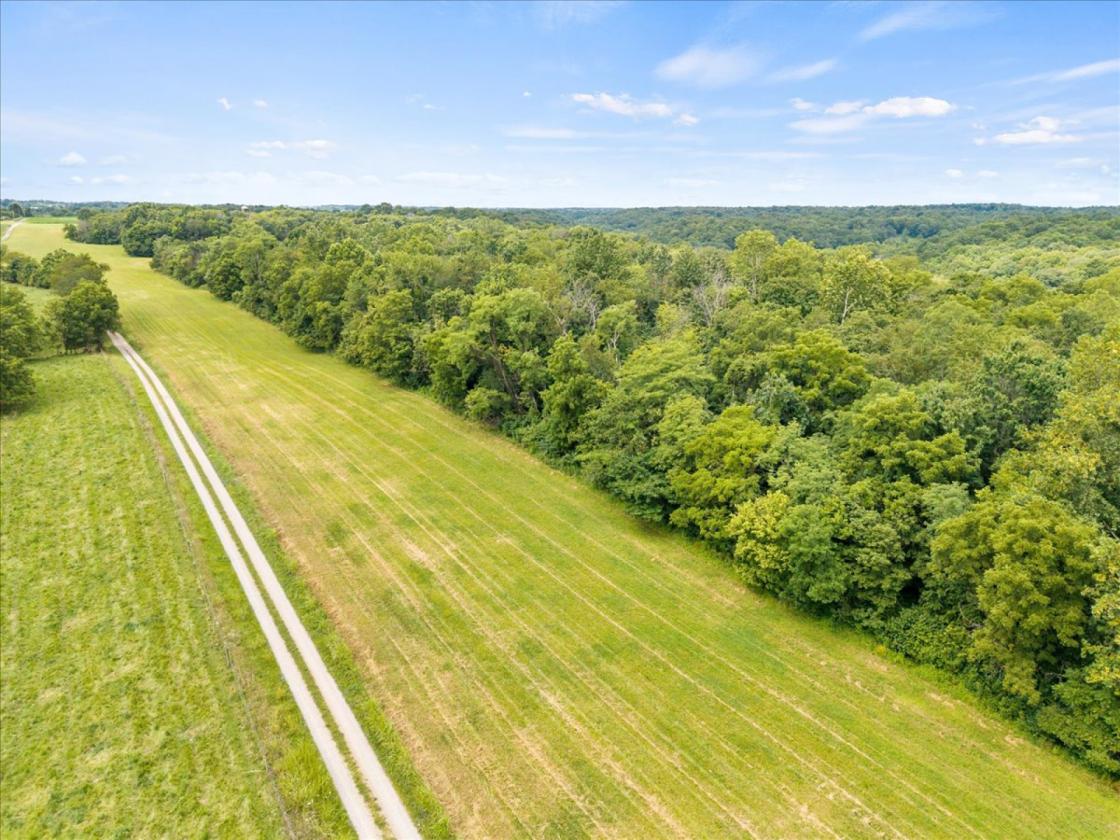 Over 173 acres for your equestrian dreams - photo 7