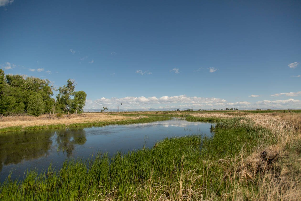 The Rio Grande River Ranch Alamosa, Alamosa County, Colorado
