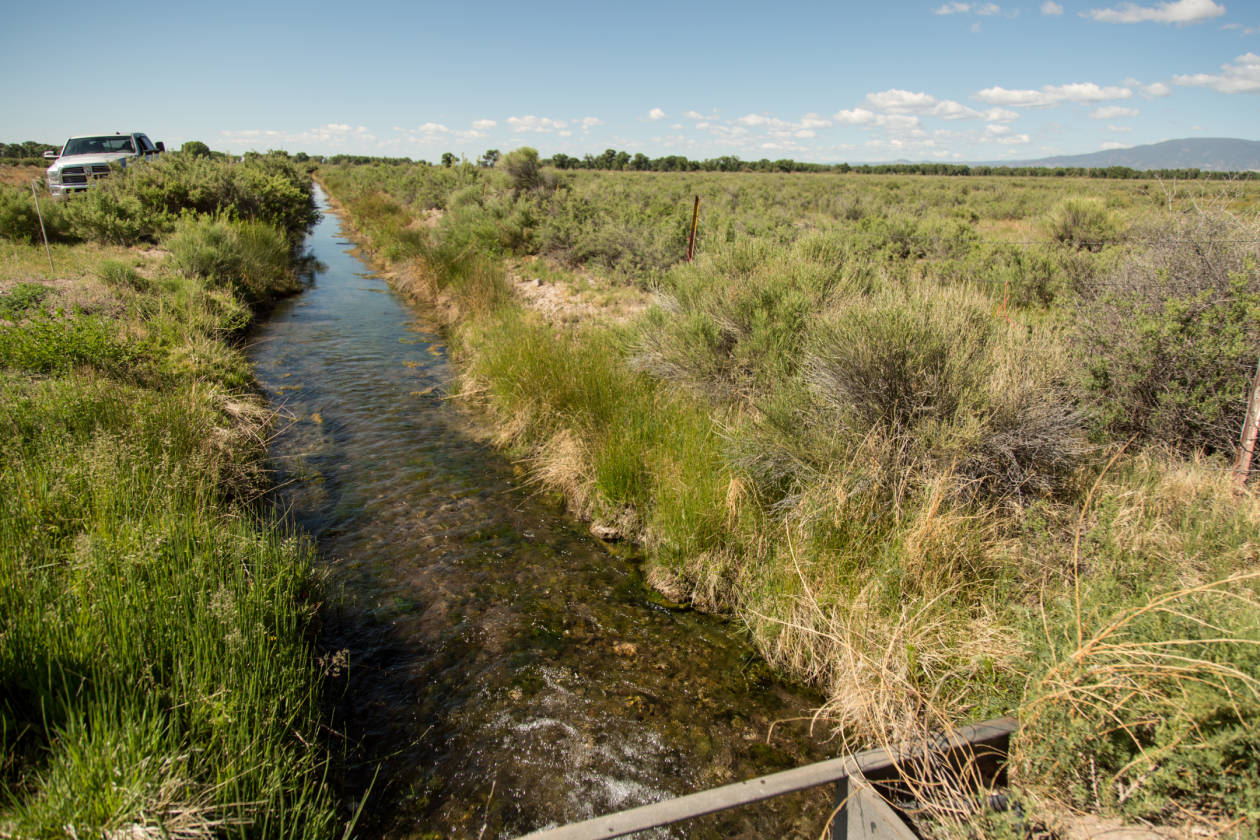 The Rio Grande River Ranch Alamosa, Alamosa County, Colorado