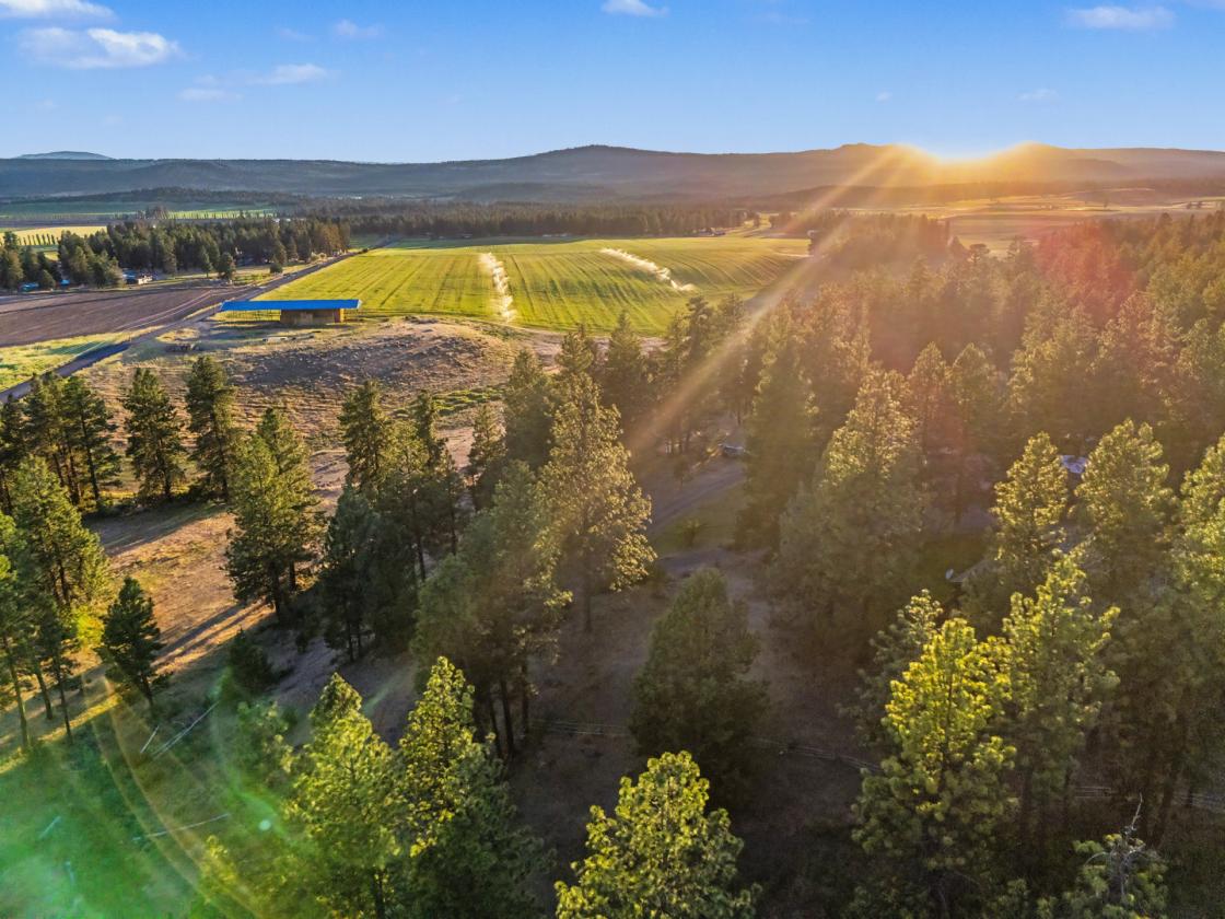 Stunning Log Home on 38.7 ac w/ barn & round pen - photo 27
