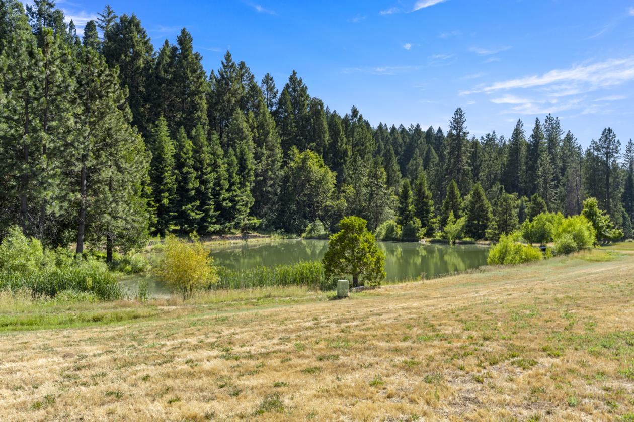 Beautiful Apple Hill Property - photo 29