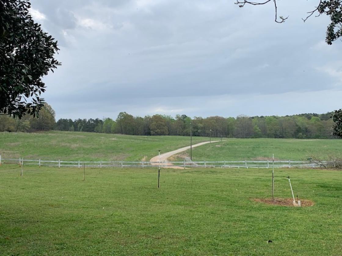 Madison County - Large Estate Farm - photo 24
