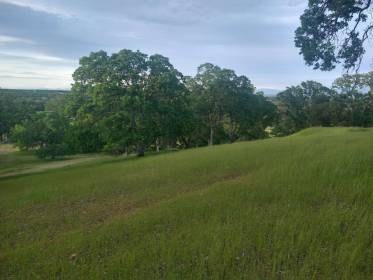 Property image.