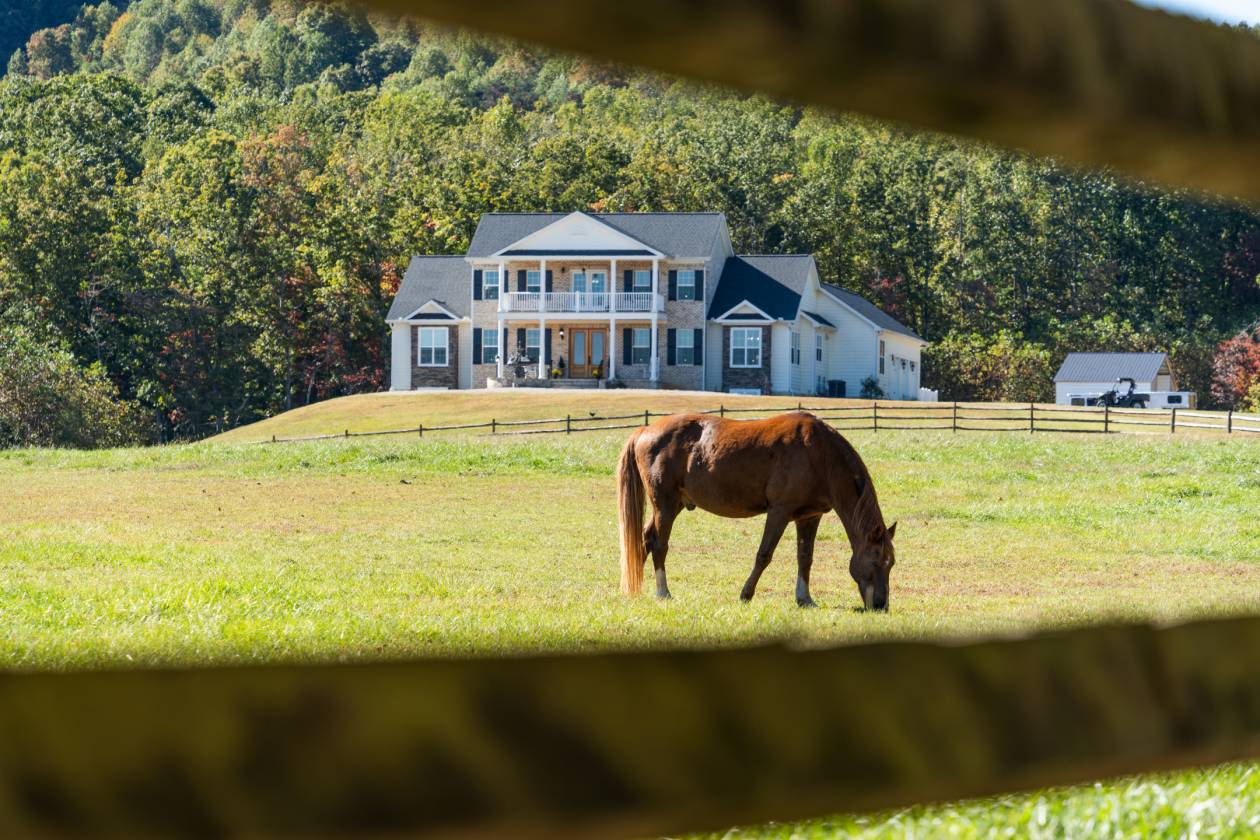 Horse Property for sale.