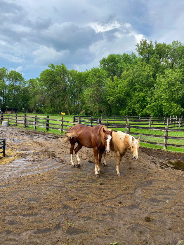 Beautiful Horse Property In Western Wisconsin New Richmond, St Croix