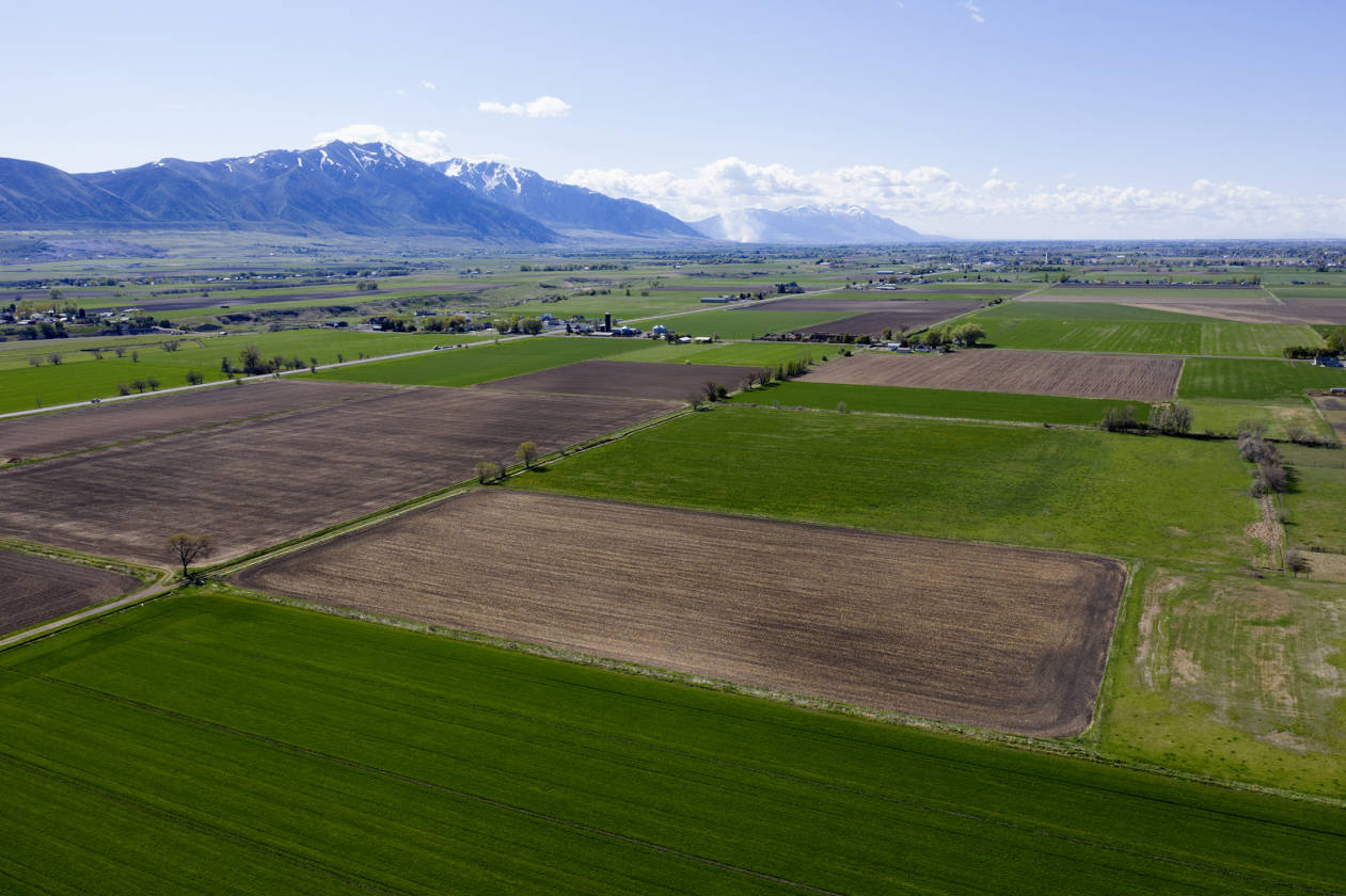 Farm and or Development Acreage for Sale Garland, Box Elder County
