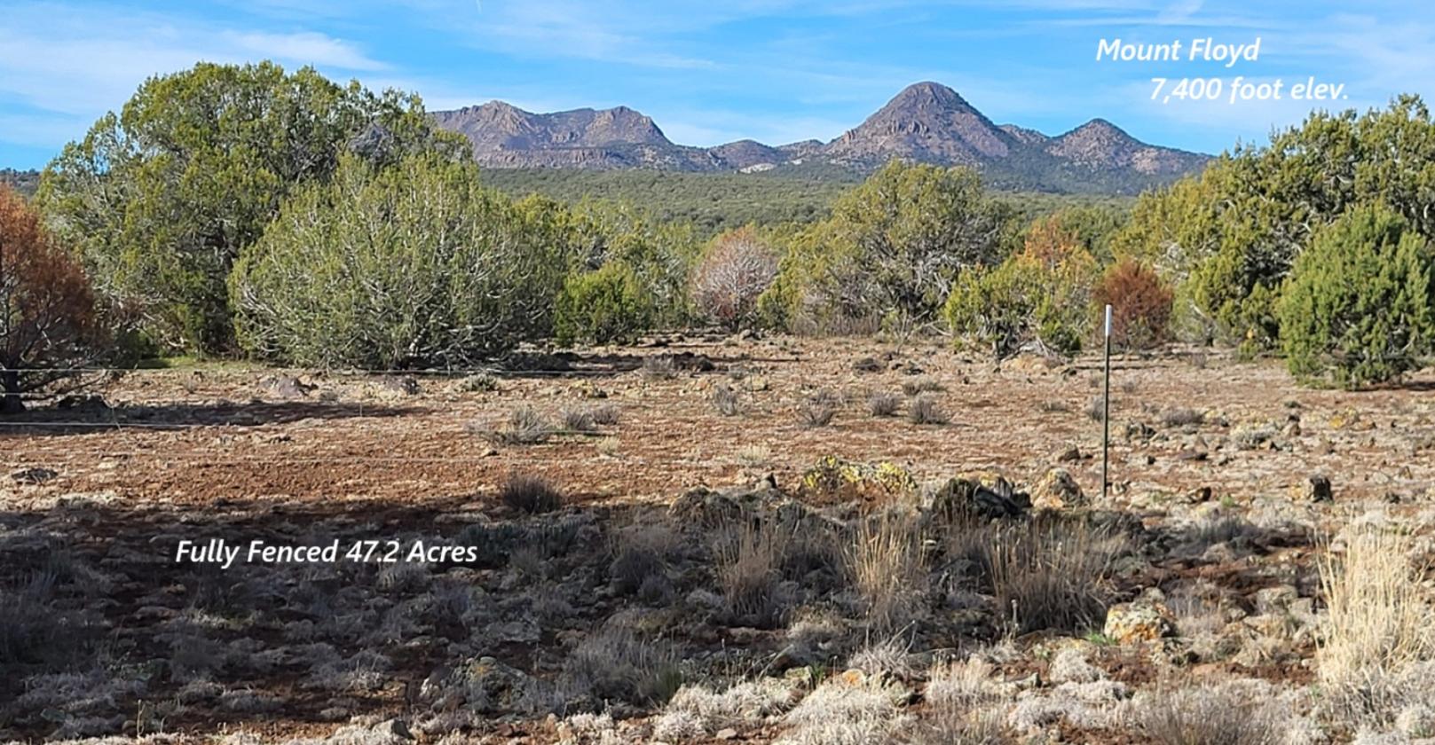 Ranch Ready - Northern AZ - 47.2 Acres - Fenced - photo 29