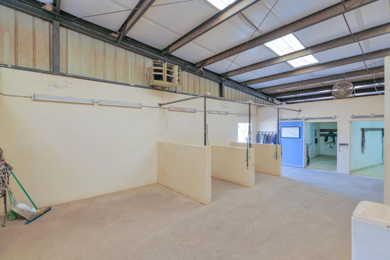 Equine Breeding, Training and Therapy Facility - photo 13