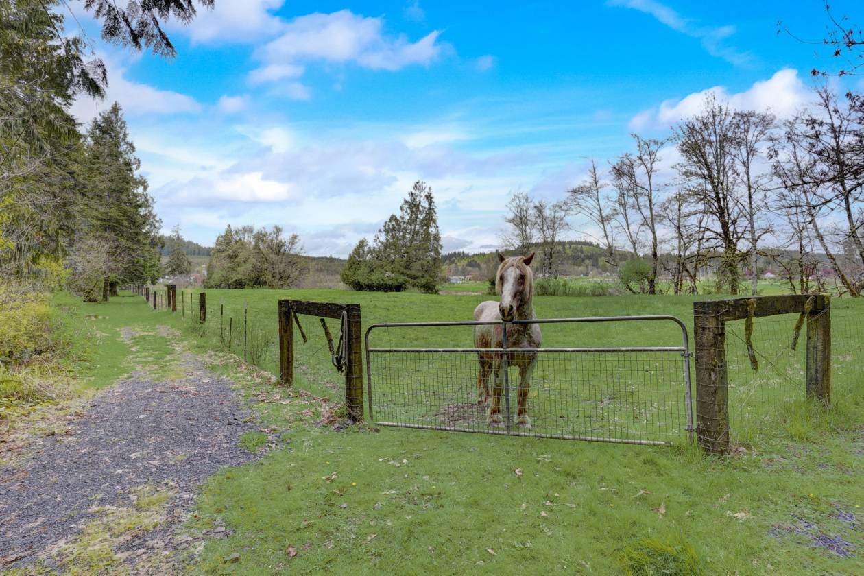 Horse Property for sale.