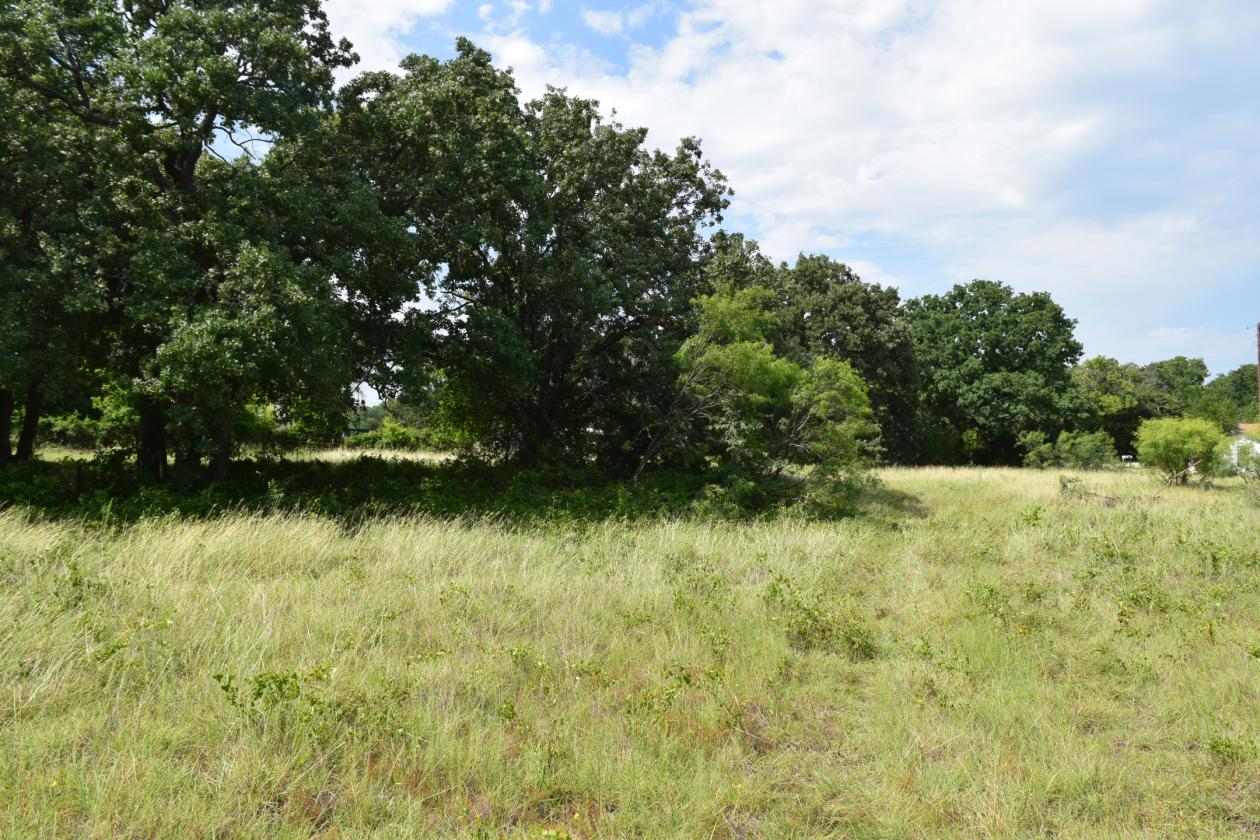 Motivated Seller- 17 acres Parker County - photo 5