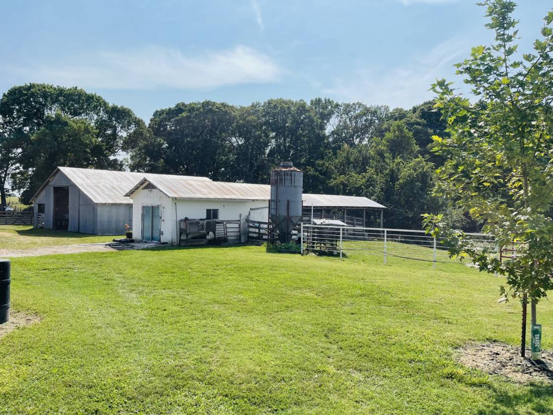 206 beautiful mostly level land - photo 7